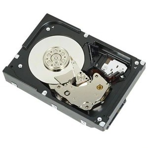 DELL 400-BJRV disque dur 3.5" 1000 Go Série ATA III