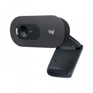 Logitech C505 cámara web 1280 x 720 Pixeles USB Negro