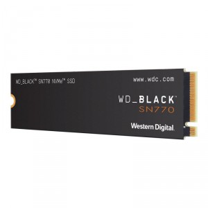 Western Digital WD 250GB BLACK NVME SSD INT