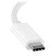 StarTech.com Adaptateur vidéo USB Type-C vers DVI - M/F - Blanc