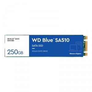 Western Digital WD Blue SA510 WDS250G3B0B - SSD - 250 GB - interno - M.2 2280 - SATA 6Gb