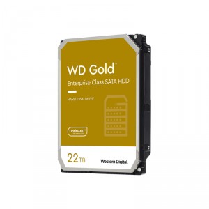 Western Digital 22TB GOLD 512 MB INT