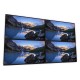 DELL UltraSharp U2518D 25" Quad HD IPS Negro pantalla para PC LED display