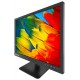 Lenovo ThinkVision E21 20.7" Full HD TN Negro pantalla para PC