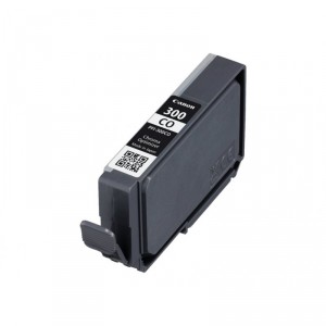 Canon 300 co