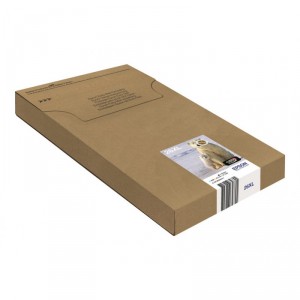 Epson Polar bear Multipack 4-colours 26XL EasyMail