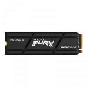 Kingston 2000G FURY RENEGADE W/ INT