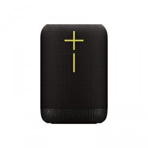 Ultimate ears EPICBOOM CHARCOALCONS