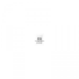 Apple iPad PRO 11 M4 WF 2TB SP BLK