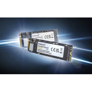 Intenso SSD M.2 500GB PCIE4.0 NVME