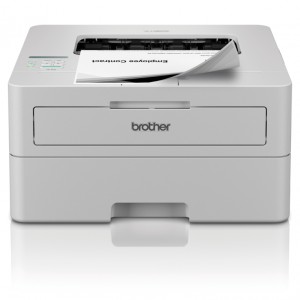 Brother IMPRESORA HLL2865DW B/N LASER